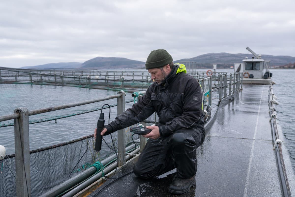 Aquaculture technician measuring water quality at a sea fish farm