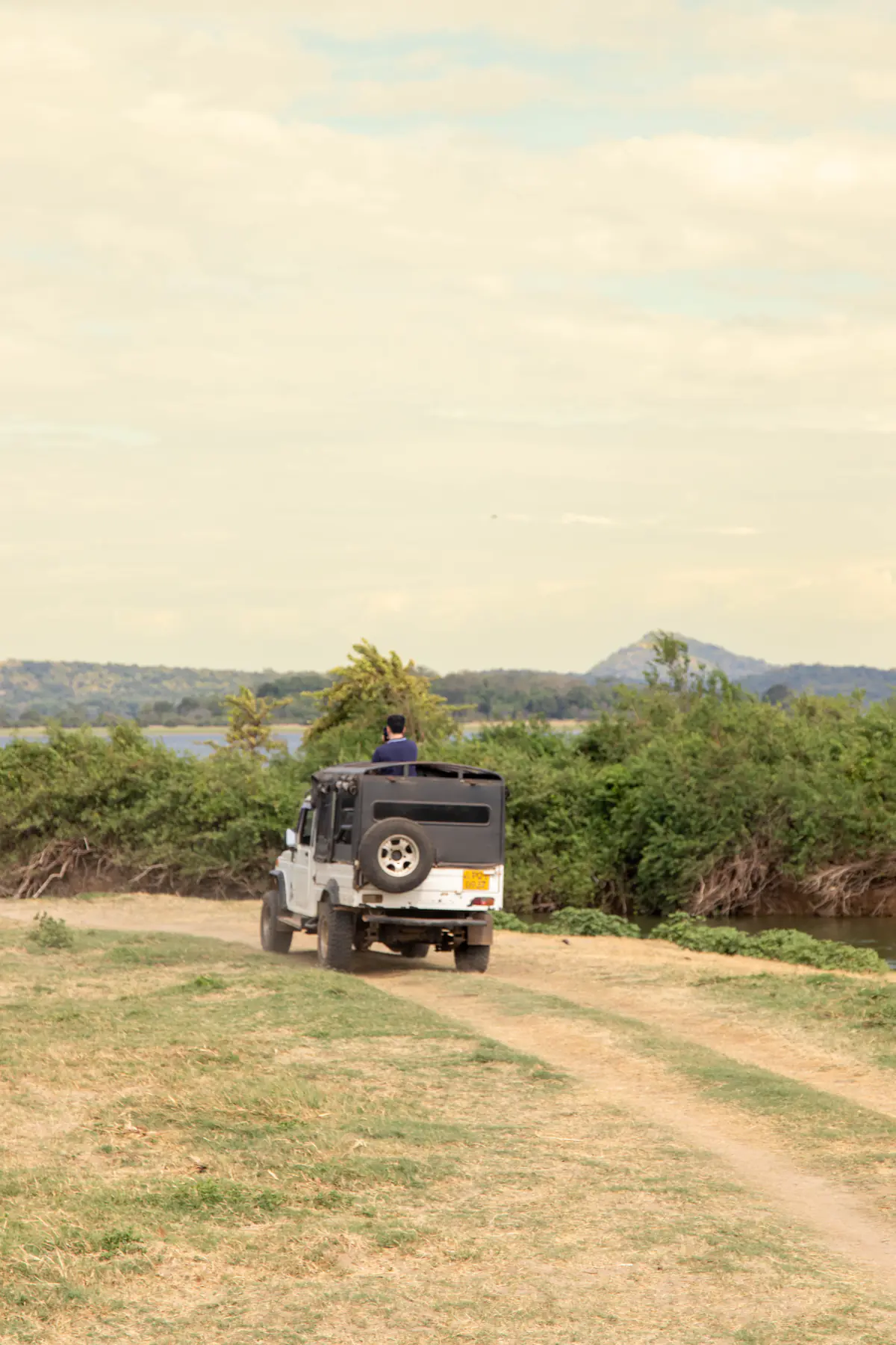A safari jeep crossing the open Minneriya grassland