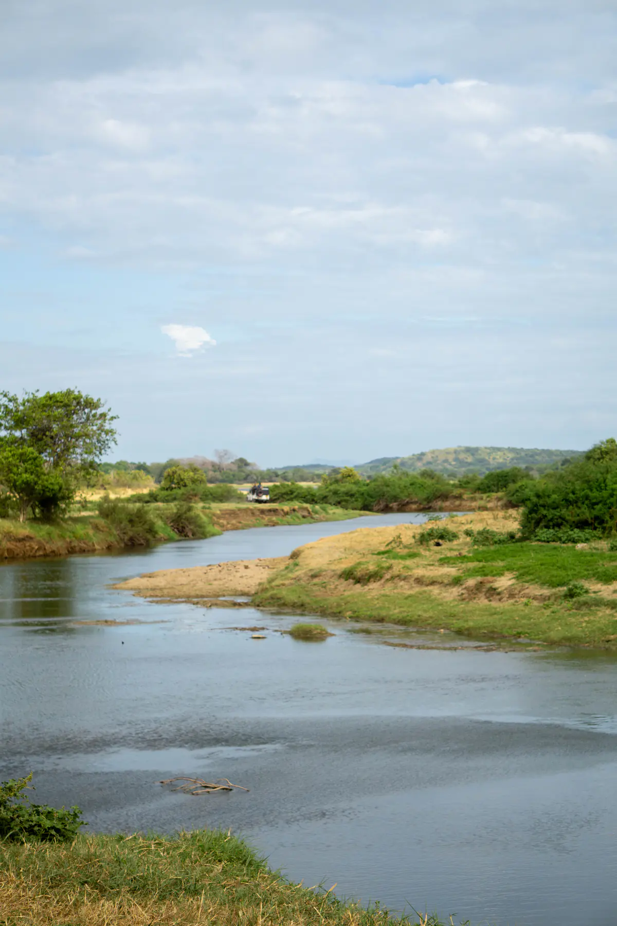 The wetlands and open landscape of Minneriya National Park